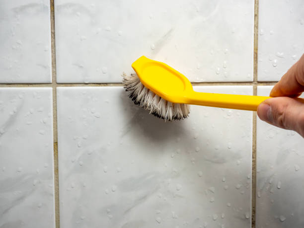 Best Toxic Mold Removal  in Wenona, IL