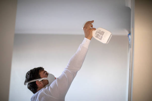 Best Mold Cleaning Services  in Wenona, IL