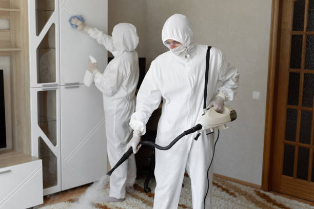 Attic Mold Removal in Wenona, IL